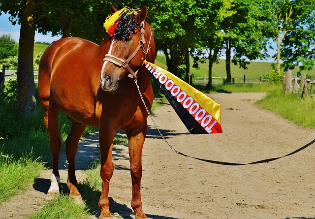 湖人稳居第 湖人稳居第