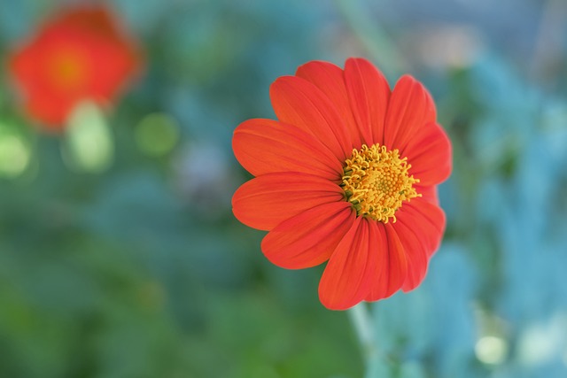 绕过所有防 绕过所有防