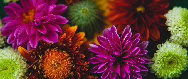 并利用风动 并利用风动