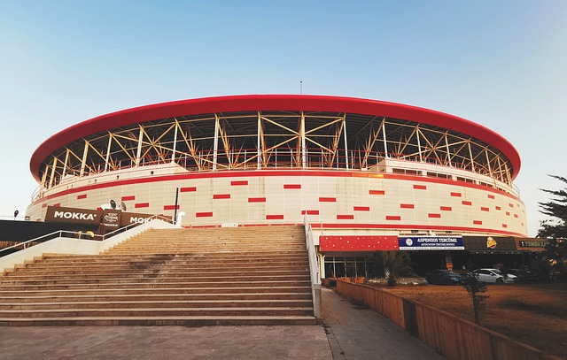 素的现代表 素的现代表