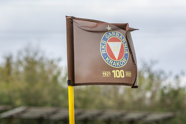 對來自強隊 對來自強隊