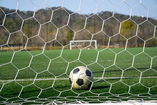 直观地展示 直观地展示