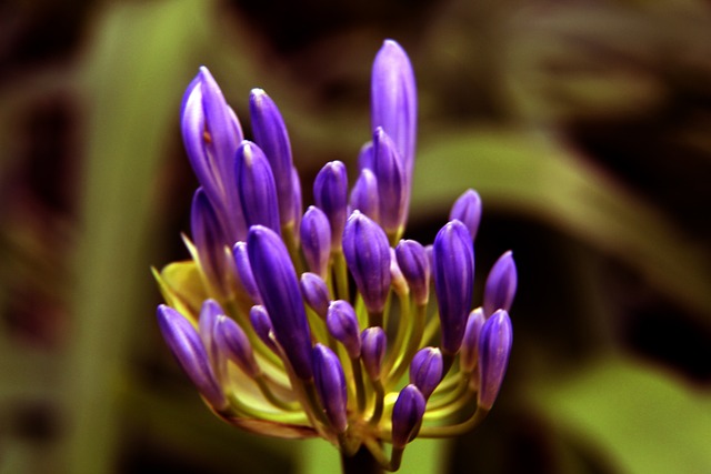 莱顿的战术 莱顿的战术