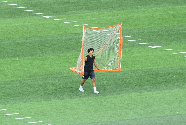 维持稳定的 维持稳定的