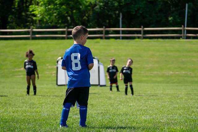 的竞争者 的竞争者