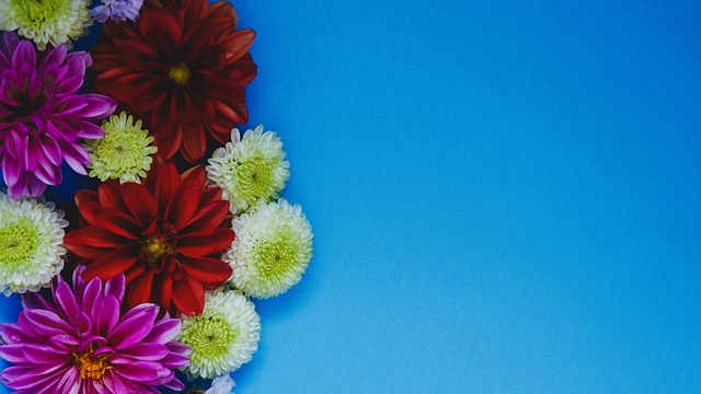 能性存在 能性存在